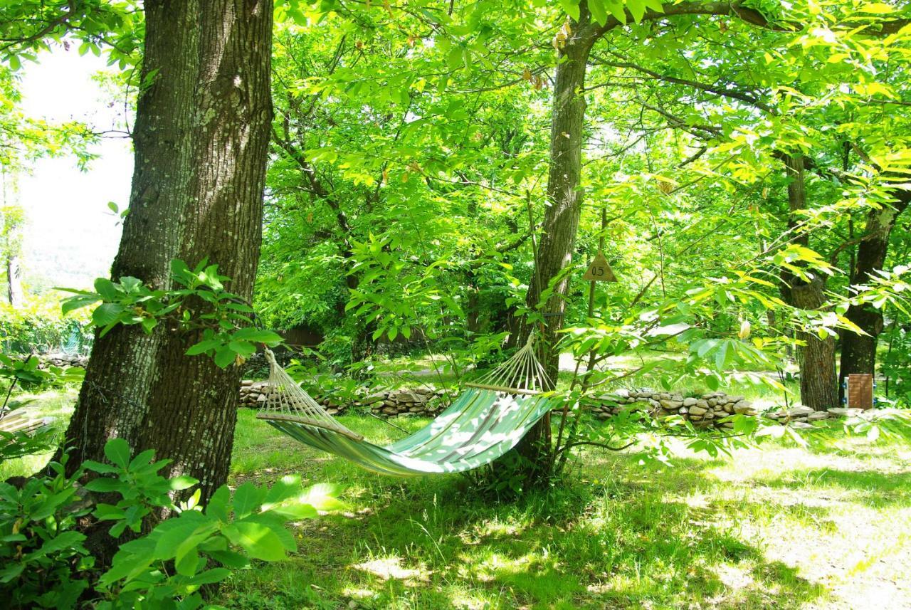 Camping La Chataigneraie Gravieres Dış mekan fotoğraf